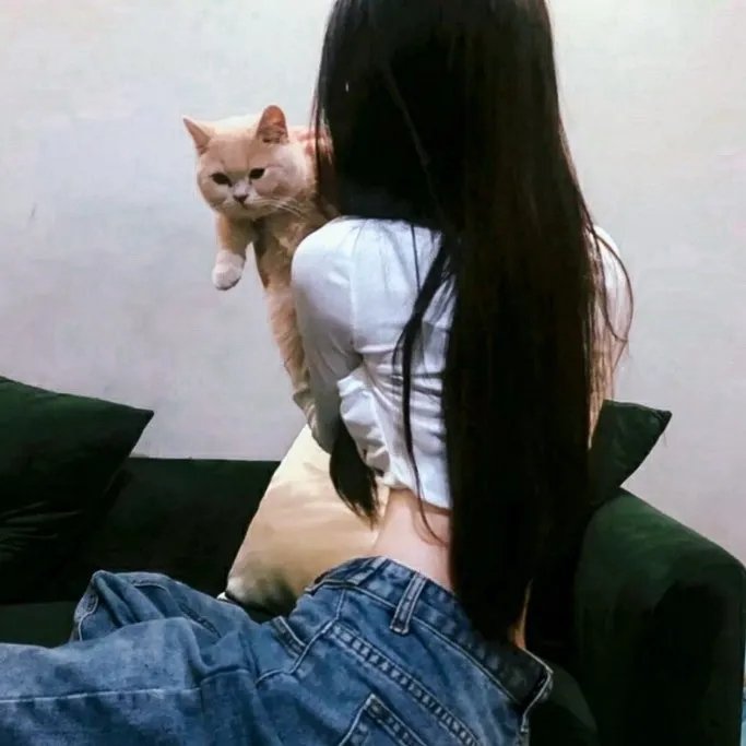 冒牌总统